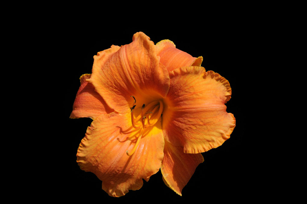 %_tempFileNameTJ4_6539bl%